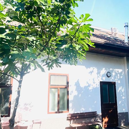 Jokai Apartman Komárno Exteriör bild